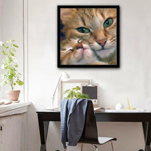Load image into Gallery viewer, Cat 30x30cm(canvas) full round drill diamond painting
