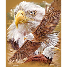 Load image into Gallery viewer, Eagle 40x30cm(canvas) full round drill diamond painting
