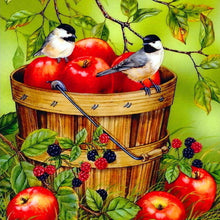 Load image into Gallery viewer, Fruits Birds 30x30cm(canvas) full round drill diamond painting
