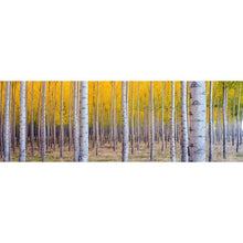 Load image into Gallery viewer, Multi Tree 80x30cm(canvas) full round drill diamond painting
