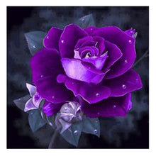 Load image into Gallery viewer, Purple Rose 25x25cm(canvas) full square drill diamond painting
