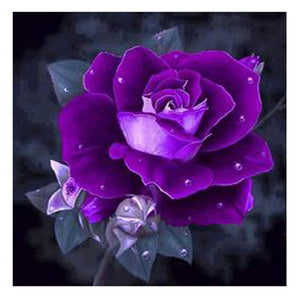 Purple Rose 25x25cm(canvas) full square drill diamond painting