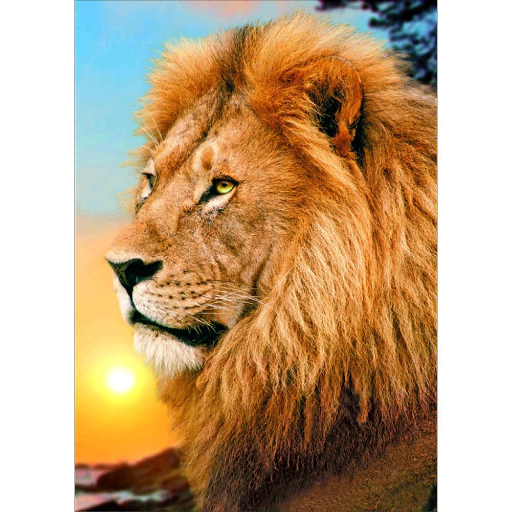 Lion 40x30cm(canvas) full round drill diamond painting
