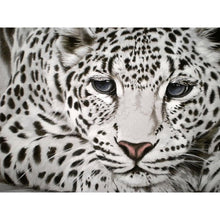Load image into Gallery viewer, Leopard 40x30cm(canvas) full square drill diamond painting
