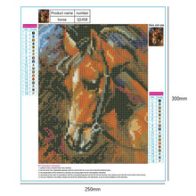 Load image into Gallery viewer, Horse 30x25cm(canvas) full round drill diamond painting

