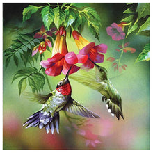 Load image into Gallery viewer, Birds Animal 30x30cm(canvas) full round drill diamond painting
