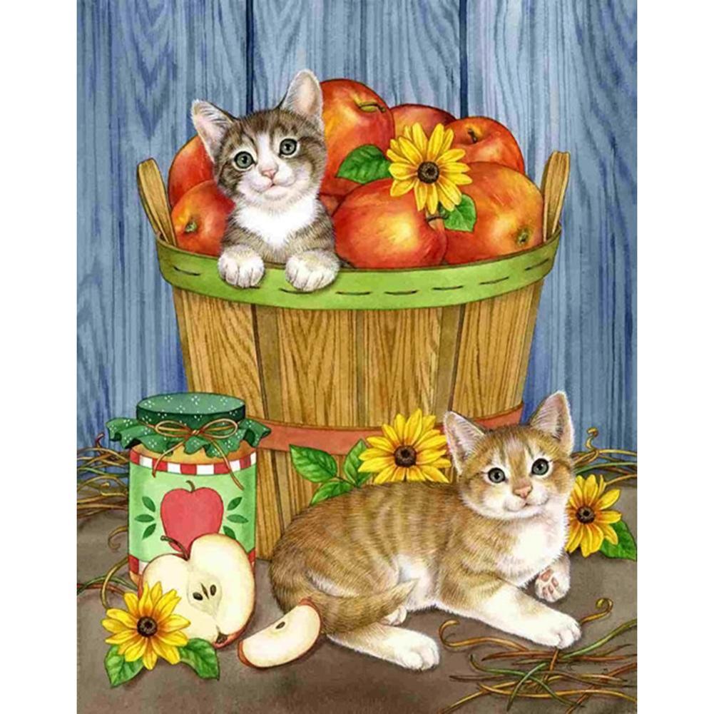 Cats Fruits 30x25cm(canvas) partial round drill diamond painting