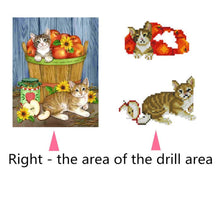 Load image into Gallery viewer, Cats Fruits 30x25cm(canvas) partial round drill diamond painting
