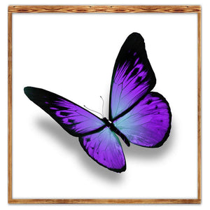 Purple Butterfly 30x30cm(canvas) partial round drill diamond painting