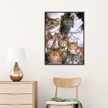 Load image into Gallery viewer, Cat 20x25cm(canvas) partial round drill diamond painting
