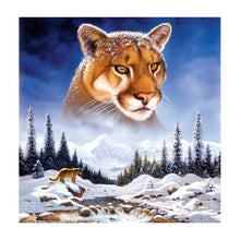Load image into Gallery viewer, Snow Mountain Tiger 30x30cm(canvas) full round drill diamond painting
