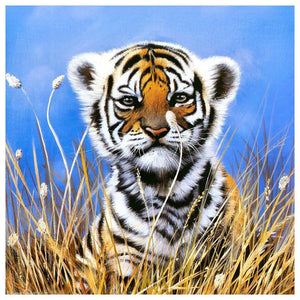 Small Tiger 30x30cm(canvas) full round drill diamond painting