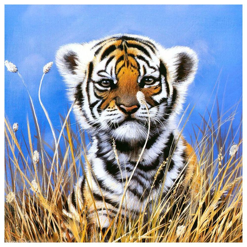 Small Tiger 30x30cm(canvas) full round drill diamond painting