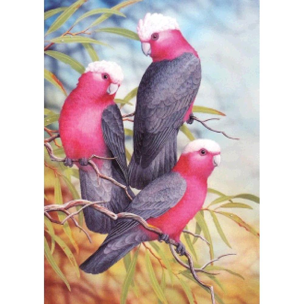 Parrots 40x30cm(canvas) full round drill diamond painting