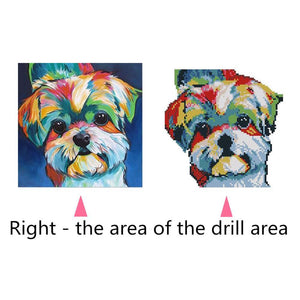 Lovely Colorful Dog 30x30cm(canvas) partial round drill diamond painting