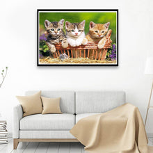 Load image into Gallery viewer, Lovely Cats 40x30cm(canvas) full round drill diamond painting
