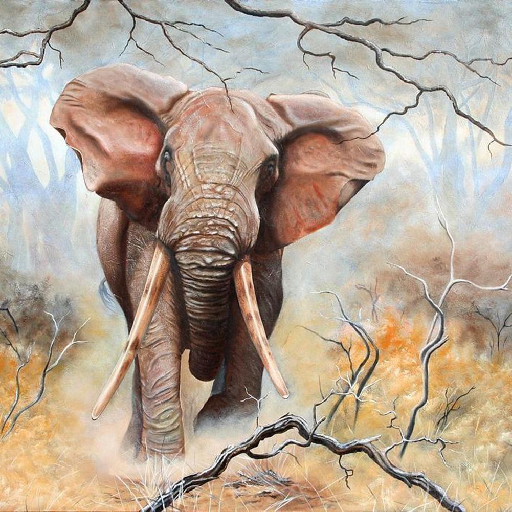 Elephant 30x30cm(canvas) full round drill diamond painting