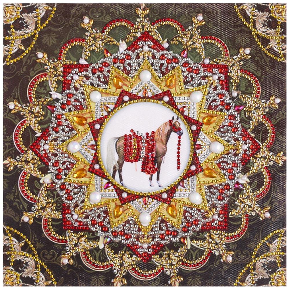 Mandala 30x30cm(canvas) beautiful special shaped drill diamond painting