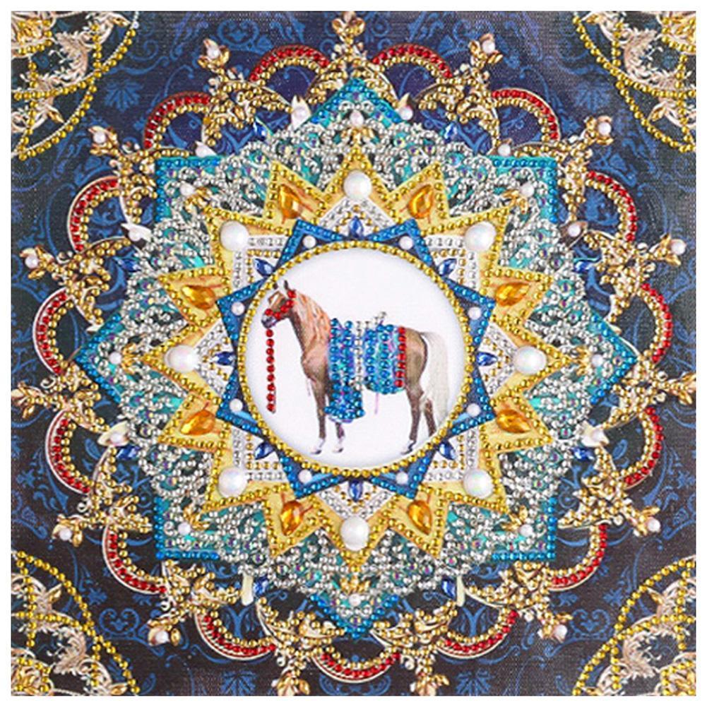 Mandala 30x30cm(canvas) beautiful special shaped drill diamond painting