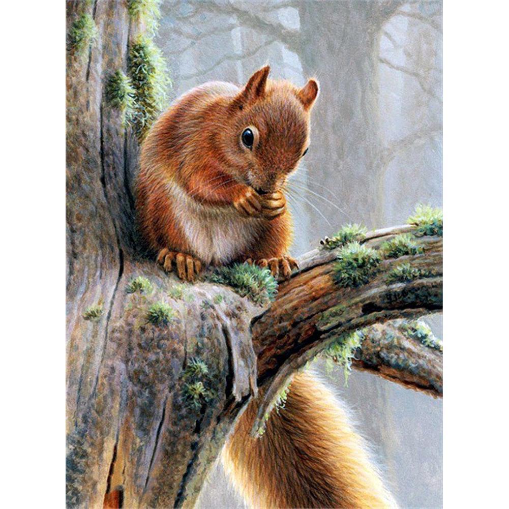 Squirrel 30x40cm(canvas) full round drill diamond painting
