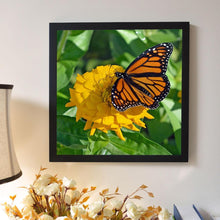 Load image into Gallery viewer, Butterfly 30x30cm(canvas) full round drill diamond painting
