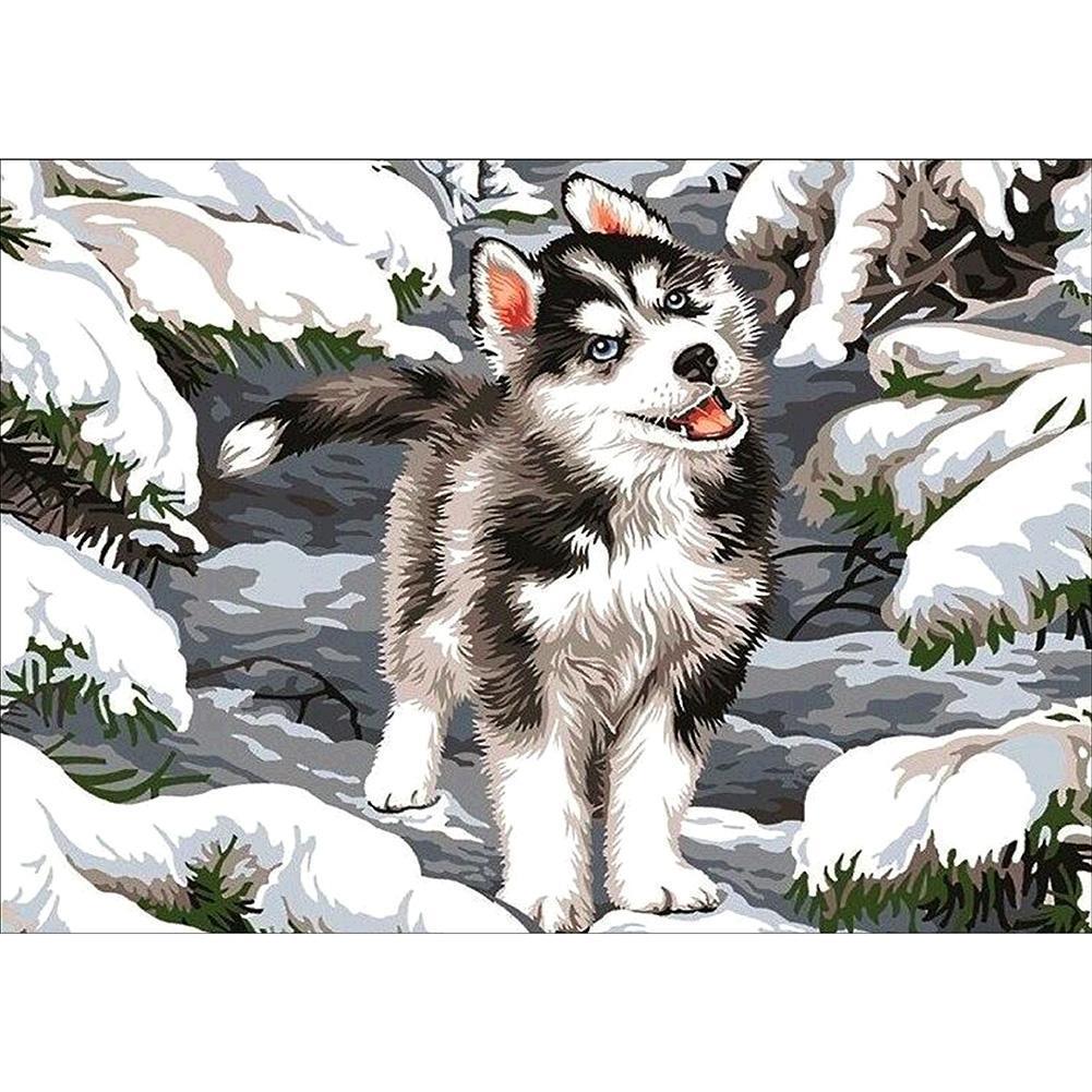 Wolf 30x40cm(canvas) full round drill diamond painting