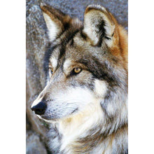 Load image into Gallery viewer, Animal 30x40cm(canvas) full round drill diamond painting
