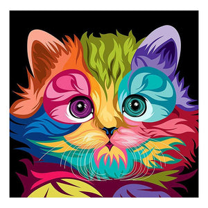 Colorful Cat 30x30cm(canvas) full round drill diamond painting