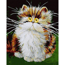 Load image into Gallery viewer, Old Cat 30x40cm(canvas) full round drill diamond painting

