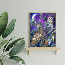 Load image into Gallery viewer, Owl 40*50cm paint by numbers
