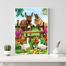 Load image into Gallery viewer, Donkeys 40*50cm paint by numbers
