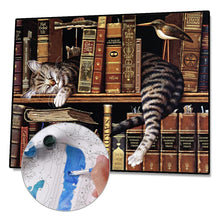 Load image into Gallery viewer, Cat Books 40*50cm paint by numbers
