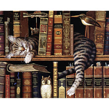 Load image into Gallery viewer, Cat Books 40*50cm paint by numbers
