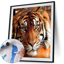 Load image into Gallery viewer, Quiet Tiger 40*50cm paint by numbers
