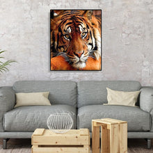 Load image into Gallery viewer, Quiet Tiger 40*50cm paint by numbers
