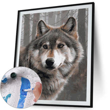 Load image into Gallery viewer, Gray Wolf 40*50cm paint by numbers
