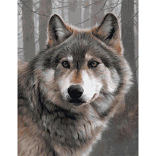 Load image into Gallery viewer, Gray Wolf 40*50cm paint by numbers
