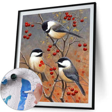 Load image into Gallery viewer, Birds Branch 40*50cm paint by numbers
