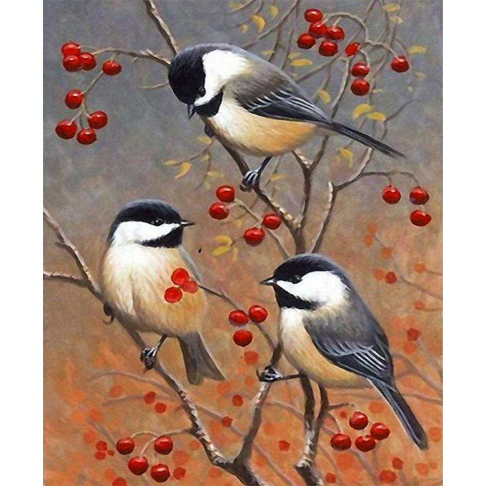 Birds Branch 40*50cm paint by numbers