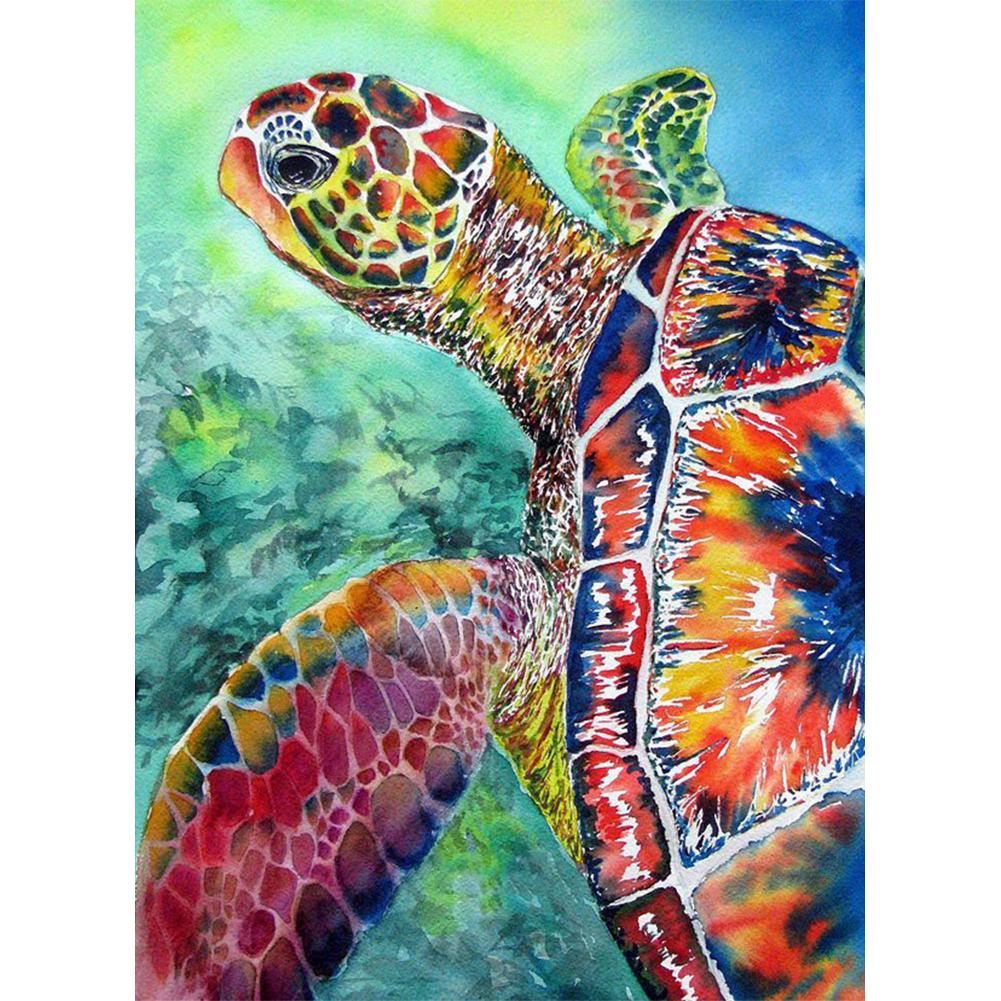 Turtle 40*50cm paint by numbers