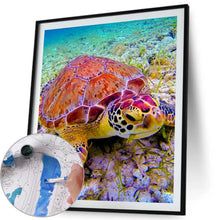 Load image into Gallery viewer, Sea Turtle 40*50cm paint by numbers
