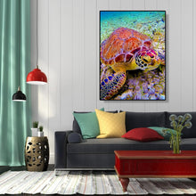 Load image into Gallery viewer, Sea Turtle 40*50cm paint by numbers
