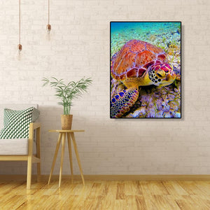 Sea Turtle 40*50cm paint by numbers