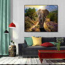 Load image into Gallery viewer, Natural Elephant 40*50cm paint by numbers
