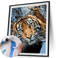 Load image into Gallery viewer, Swimming Tiger 40*50cm paint by numbers
