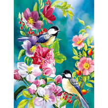 Load image into Gallery viewer, Birds Flowers 40*50cm paint by numbers
