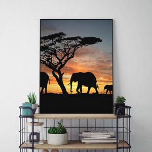 Sunset Elephant 40*50cm paint by numbers