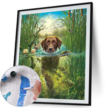 Load image into Gallery viewer, Swimming Dog 40*50cm paint by numbers
