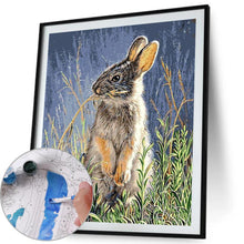 Load image into Gallery viewer, Cute Rabbit 40*50cm paint by numbers
