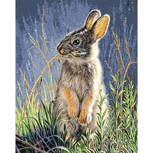 Load image into Gallery viewer, Cute Rabbit 40*50cm paint by numbers
